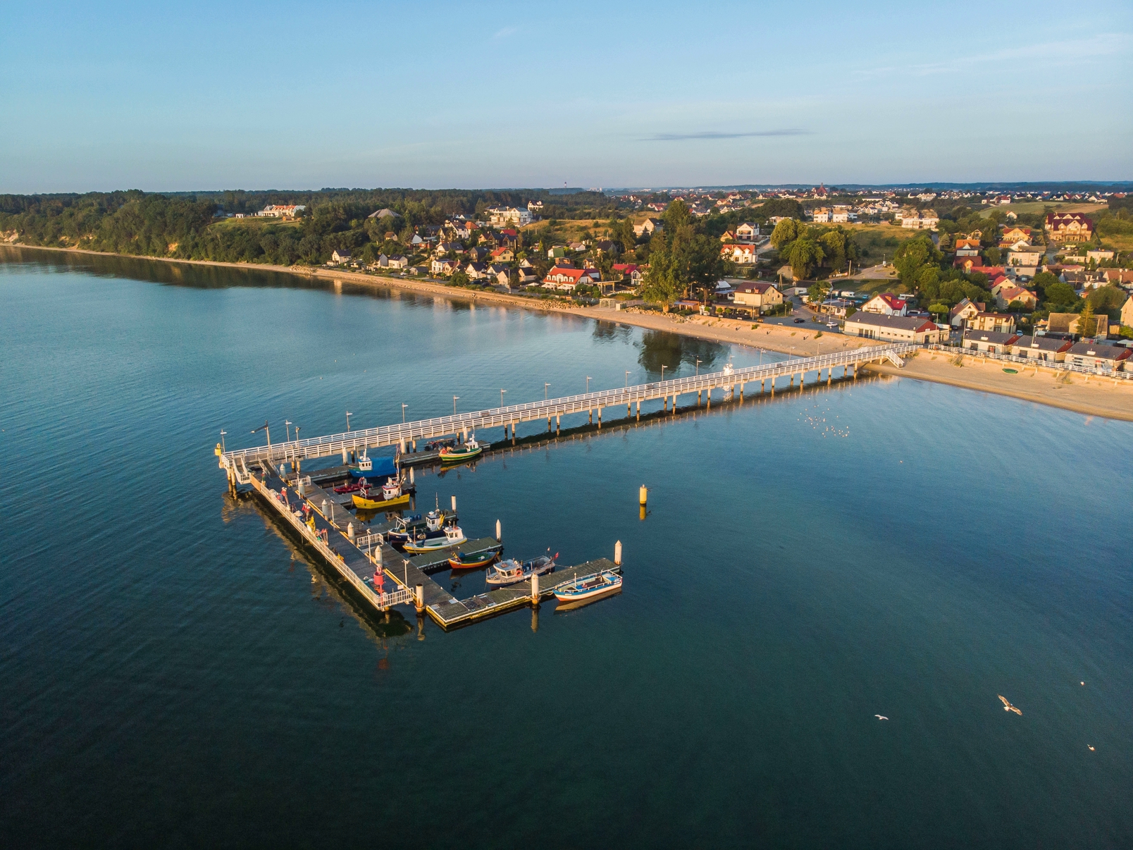 Anchoria A11 – zdjęcie 23